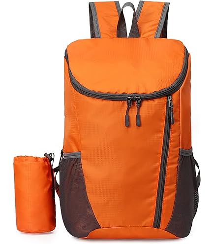 Wisportバックパック（40L） Wisport ZipperFox 40L Rucksack Black